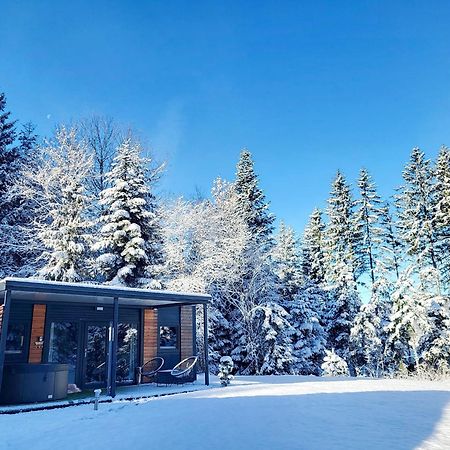 Resort Na Jasi Zreče Exterior foto